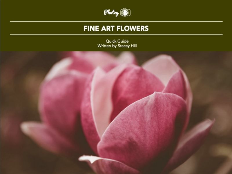 3 Free Guides For Creative Flower Photography Contrastly