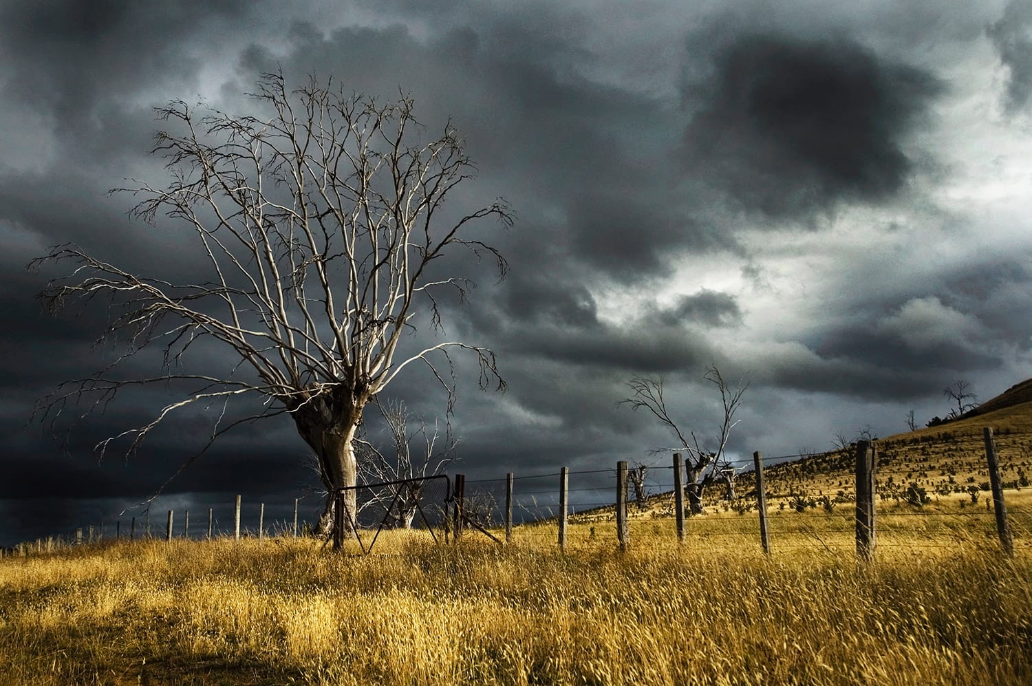 how-to-be-successful-with-outdoor-photography-in-bad-weather-contrastly