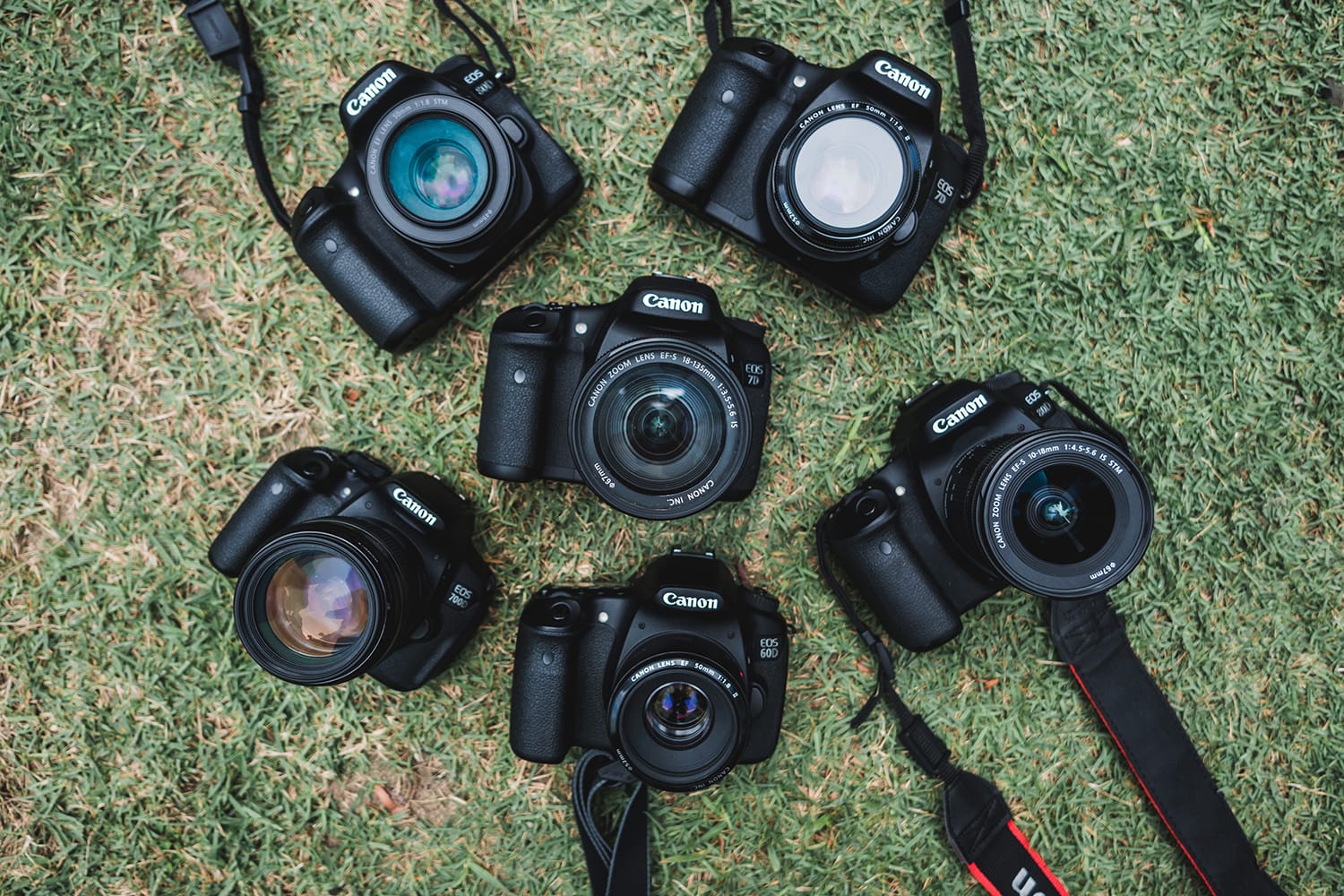 DSLRs