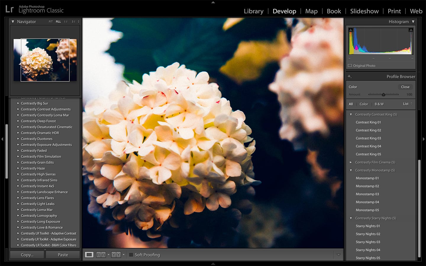 Creative Profiles in Adobe Lightroom Classic