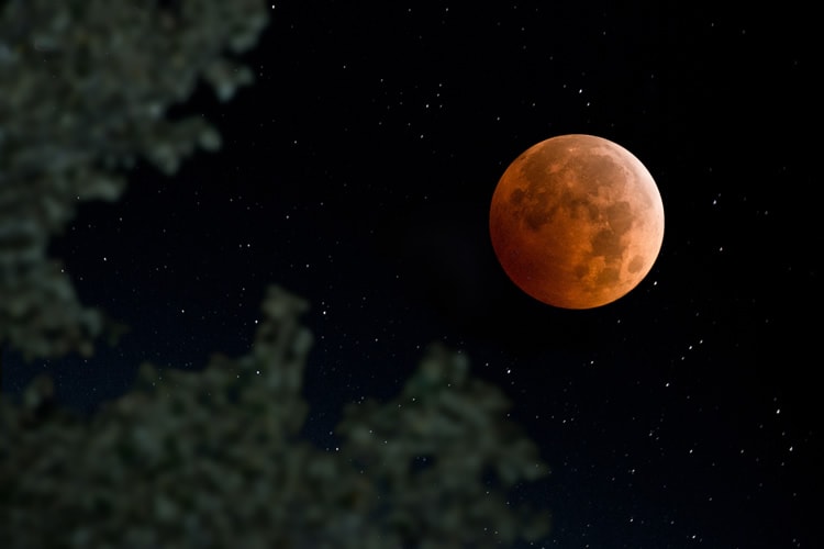 Taking Shots of a Lunar Eclipse Like It's the Easiest Thing Ever