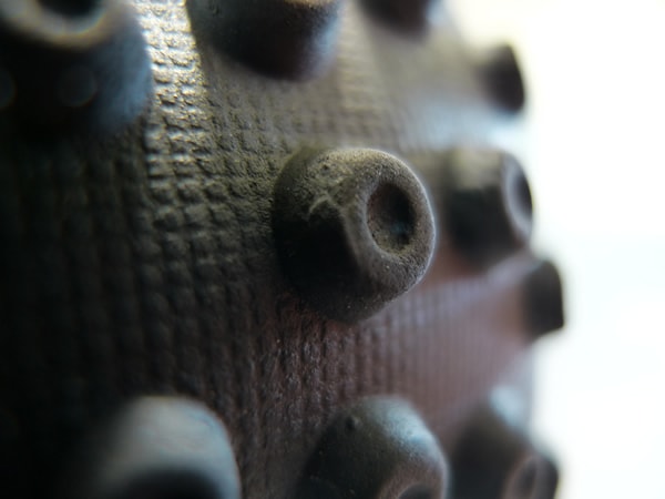 Macro Experiments: sole