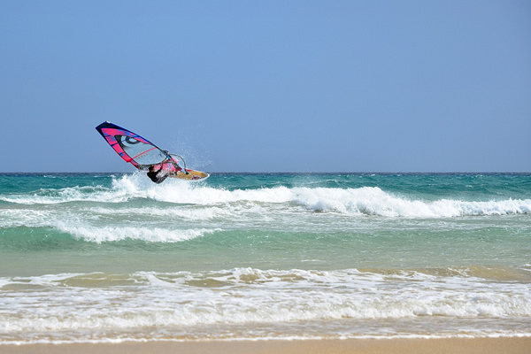 Windsurfer